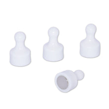 Load image into Gallery viewer, White Pin Whiteboard Magnets - 12mm diameter x 22mm | 12 PACK
